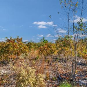 Photo #13 of Riley, Chesterfield, SC