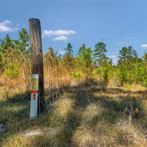 Photo #23 of Riley, Chesterfield, SC