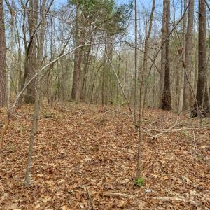 Photo #16 of J B Denton, Lancaster, SC