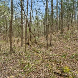 Photo #13 of J B Denton, Lancaster, SC
