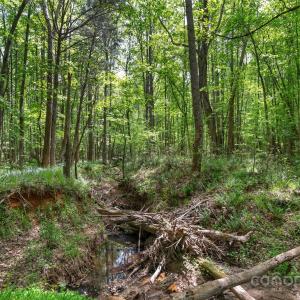 Photo #15 of Green, Lancaster, SC