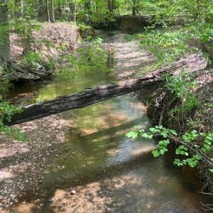 Photo #2 of tbd Pleasant Hill Church, Wadesboro, NC