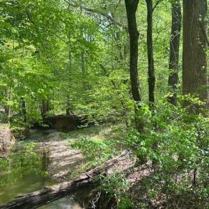 Photo #3 of tbd Pleasant Hill Church, Wadesboro, NC