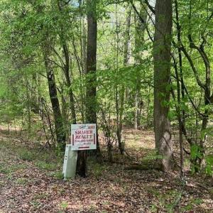 Photo #5 of tbd Pleasant Hill Church, Wadesboro, NC