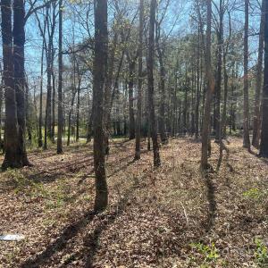 Photo #7 of 904 Mill, Marshville, NC