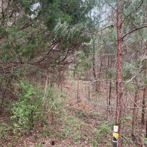 Photo #7 of 11055 Graybark, Midland, NC