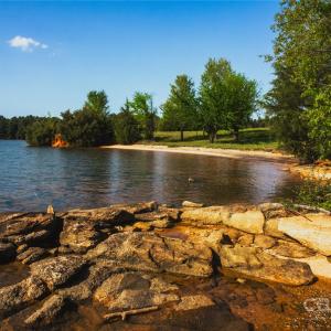 Photo #26 of Frees Creek, Jenkinsville, SC
