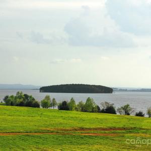 Photo #9 of Frees Creek, Jenkinsville, SC
