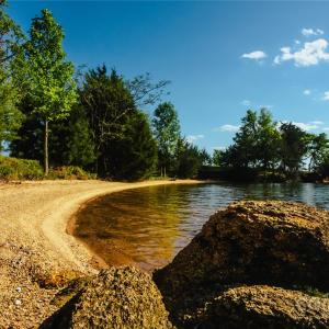 Photo #21 of Frees Creek, Jenkinsville, SC