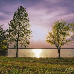 Photo #34 of Frees Creek, Jenkinsville, SC