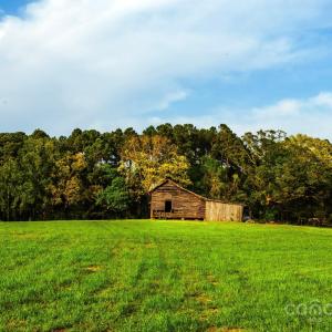 Photo #6 of Frees Creek, Jenkinsville, SC