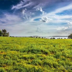 Photo #8 of Frees Creek, Jenkinsville, SC