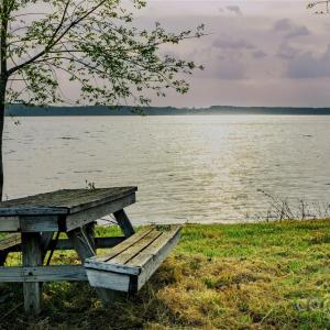 Photo #35 of Frees Creek, Jenkinsville, SC