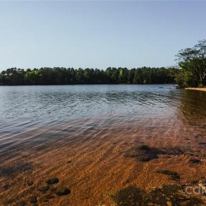 Photo #23 of Frees Creek, Jenkinsville, SC