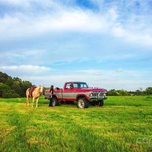 Photo #27 of Frees Creek, Jenkinsville, SC
