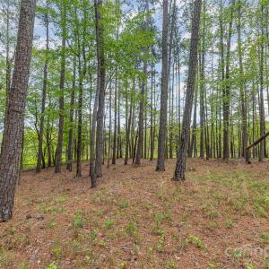 Photo #5 of Tract 3 Off Charlotte, Clover, SC