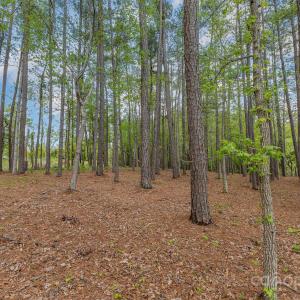 Photo #3 of Tract 3 Off Charlotte, Clover, SC