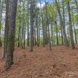 Photo #4 of Tract 3 Off Charlotte, Clover, SC