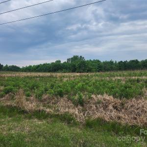 Photo #11 of Winchester, Monroe, NC