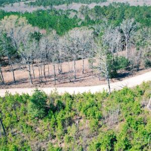 Photo #8 of 511 Moses, Ridgeway, SC