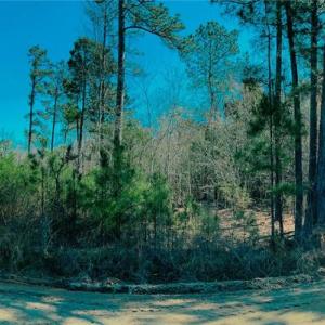 Photo #21 of 511 Moses, Ridgeway, SC