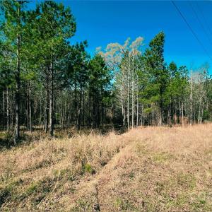 Photo #1 of 511 Moses, Ridgeway, SC