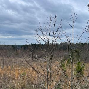 Photo #1 of Sunrise, Kershaw, SC