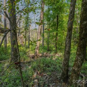 Photo #23 of Stonehenge, Waxhaw, NC