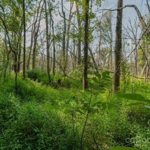 Photo #22 of Stonehenge, Waxhaw, NC