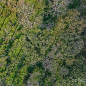 Photo #16 of Stonehenge, Waxhaw, NC