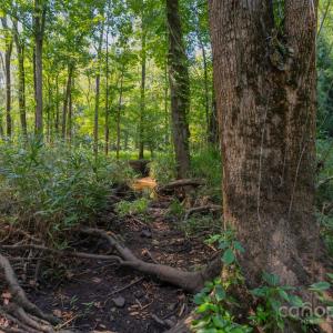Photo #6 of Stonehenge, Waxhaw, NC