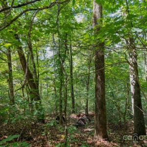 Photo #18 of Stonehenge, Waxhaw, NC