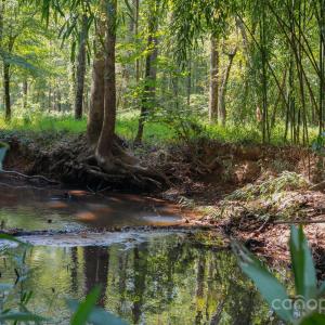 Photo #1 of Stonehenge, Waxhaw, NC