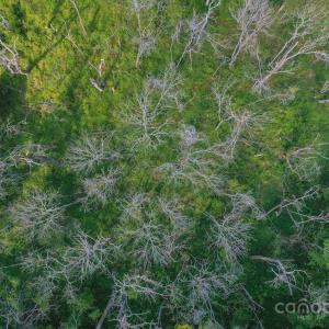 Photo #14 of Stonehenge, Waxhaw, NC