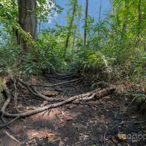 Photo #10 of Stonehenge, Waxhaw, NC