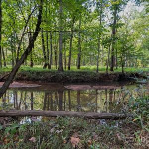 Photo #9 of Stonehenge, Waxhaw, NC
