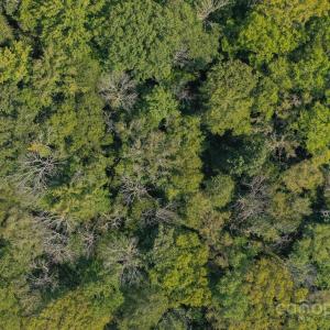 Photo #3 of Stonehenge, Waxhaw, NC