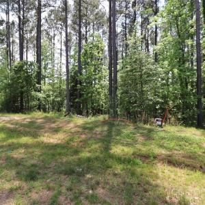 Photo #19 of 6395 Chimney Bluff, Lancaster, SC