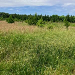 Photo #1 of Renee Ford, Stanfield, NC