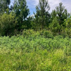 Photo #2 of Renee Ford, Stanfield, NC