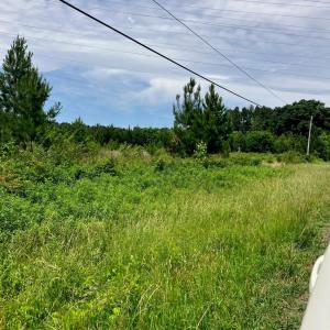 Photo #4 of Renee Ford, Stanfield, NC