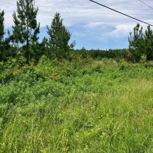 Photo #5 of Renee Ford, Stanfield, NC