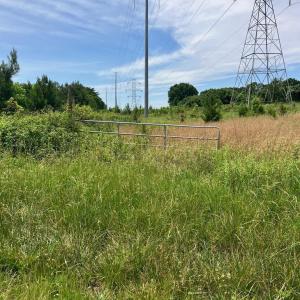 Photo #6 of Renee Ford, Stanfield, NC