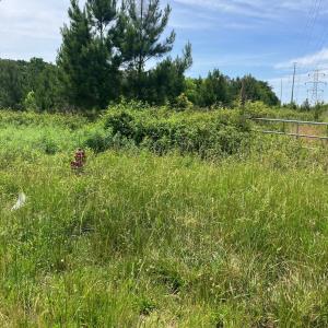 Photo #3 of Renee Ford, Stanfield, NC