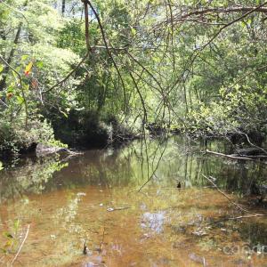 Photo #28 of TBD Goldenrod, Carthage, NC