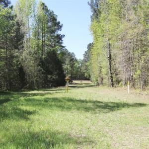 Photo #14 of TBD Goldenrod, Carthage, NC