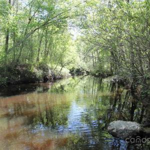 Photo #29 of TBD Goldenrod, Carthage, NC