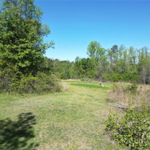 Photo #9 of TBD Goldenrod, Carthage, NC