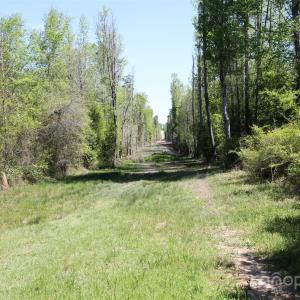 Photo #13 of TBD Goldenrod, Carthage, NC