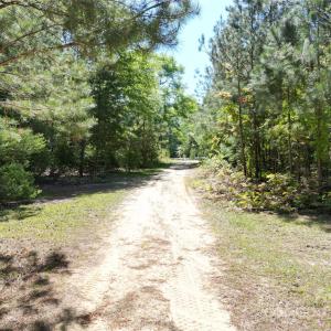 Photo #7 of TBD Goldenrod, Carthage, NC